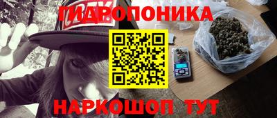 apvp Обнинск