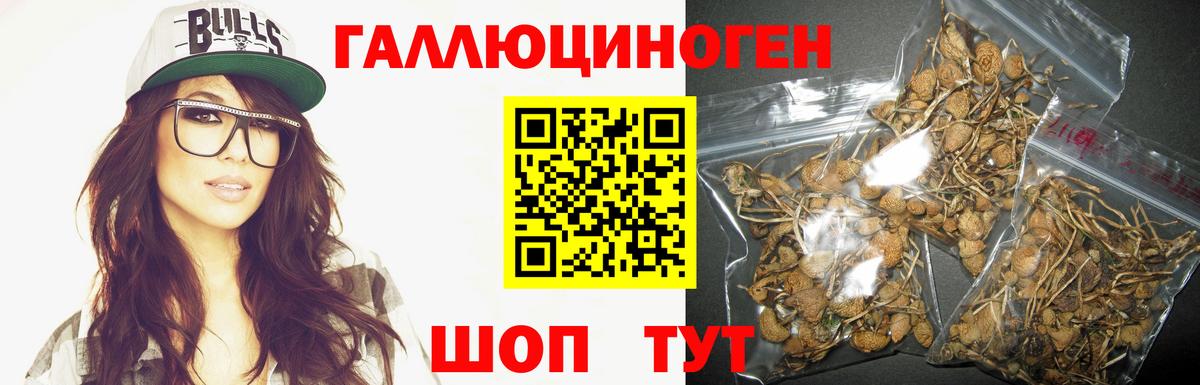 Псилоцибиновые грибы Cubensis  Псилоцибиновые грибы MAGIC MUSHROOMS  Сердобск  купить  цена  Вход с VPN 